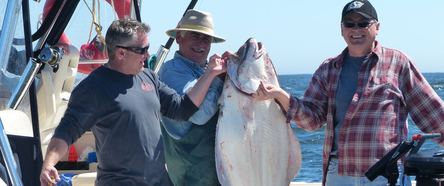 75lb halibut